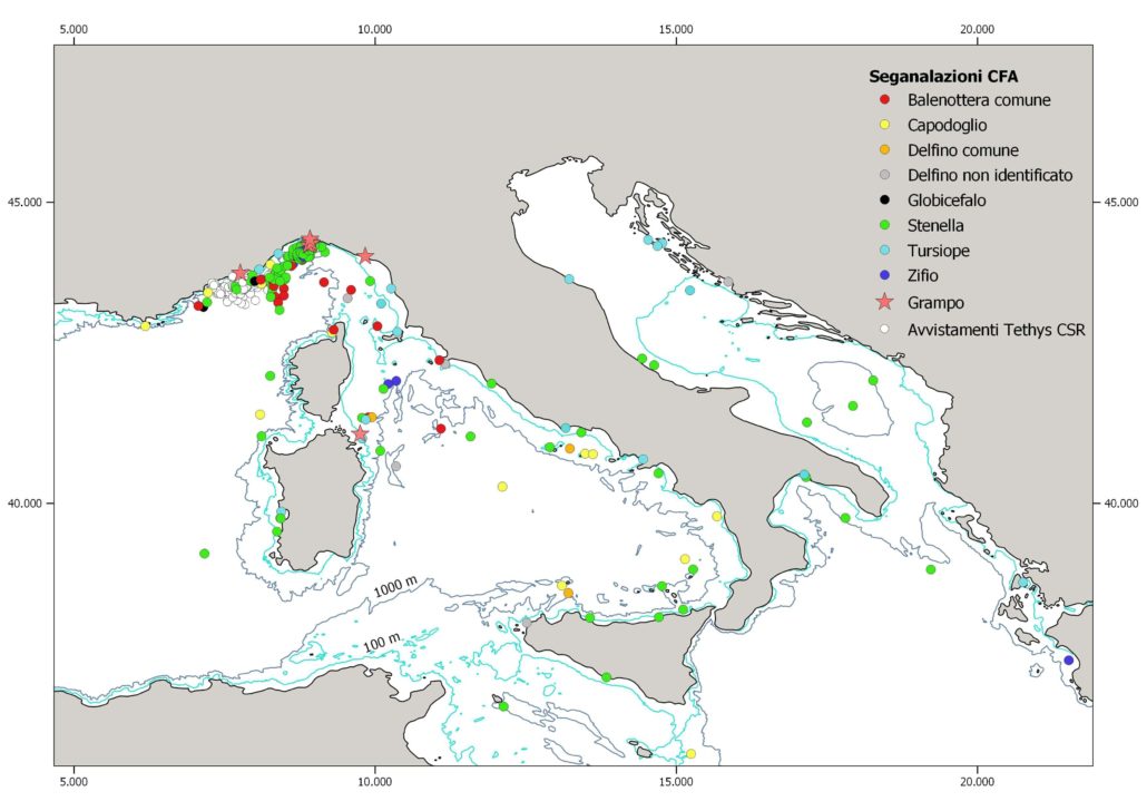 Avvistamenti CetaceiFaiAttenzione 2018