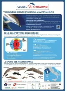 Poster-2019-CetaceiFaiAttenzione