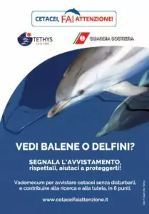 Vademecum-2019-CetaceiFaiAttenzione